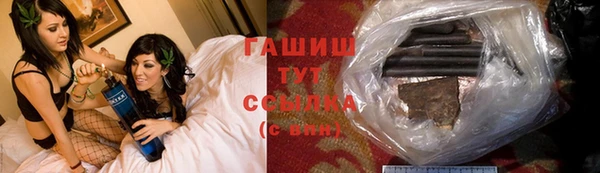 хмурый Арсеньев
