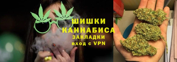 хмурый Арсеньев
