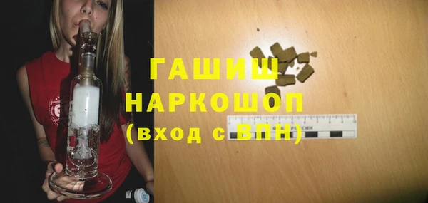 хмурый Арсеньев