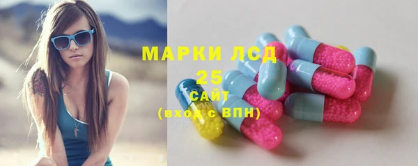 хмурый Арсеньев