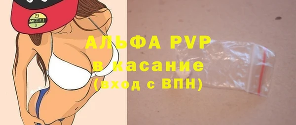 хмурый Арсеньев