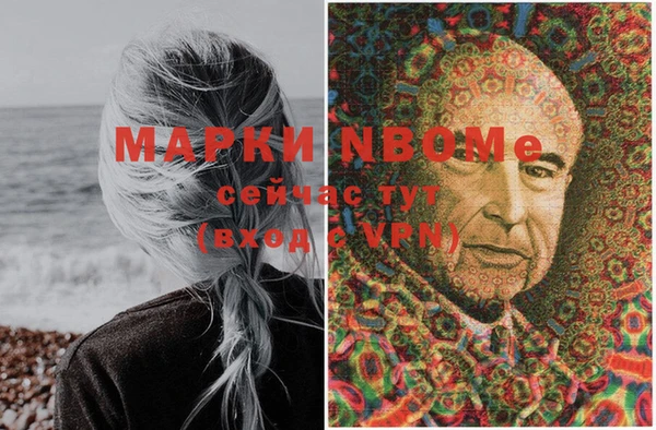 хмурый Арсеньев