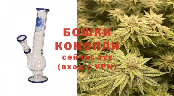 МДПВ Заречный