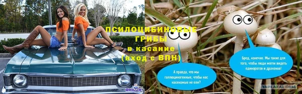 хмурый Арсеньев