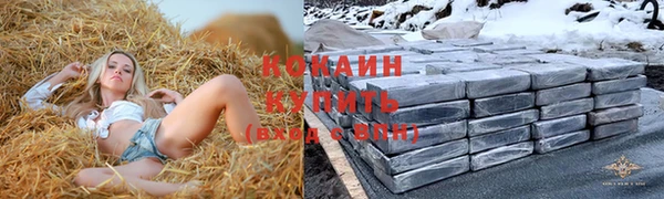 амф Аркадак