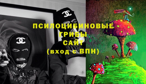 Альфа ПВП Армянск